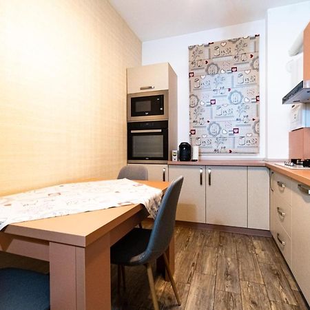 Yan Apartment - Near Mall & Free Private Parking Брашов Экстерьер фото